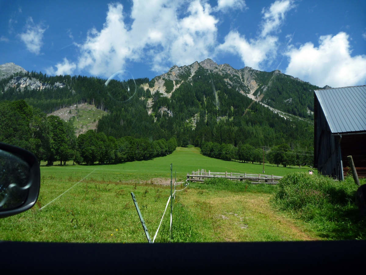 p1280628caog8.jpg