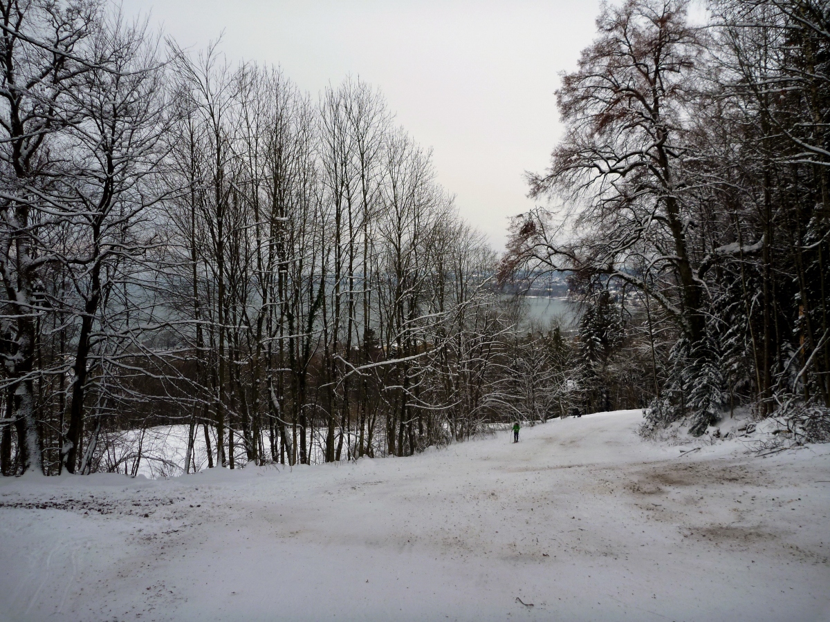 p1290497s9k9e.jpg