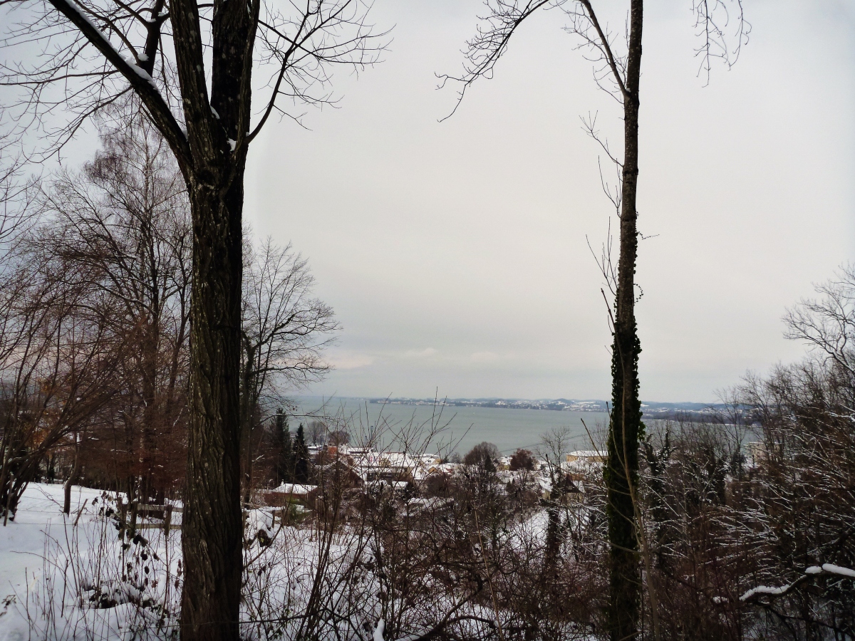 p12905001tkz5.jpg