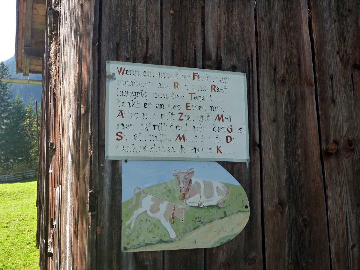 p1390276g3p3f.jpg