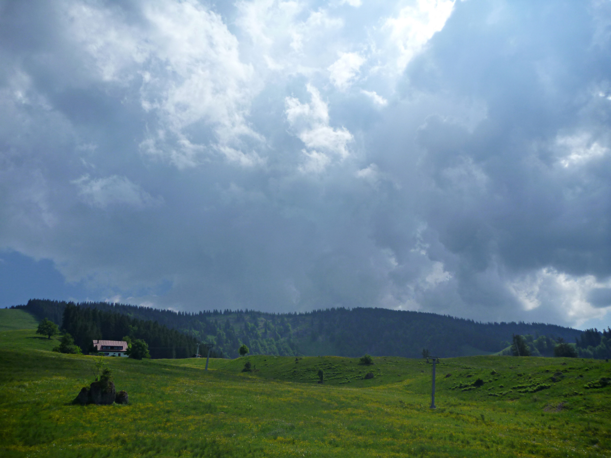 p1410089w3uff.jpg