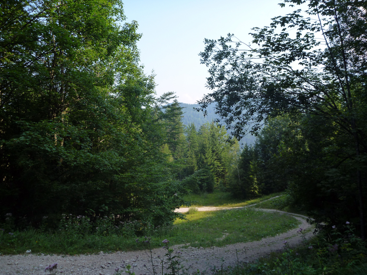p1410343o4a94.jpg