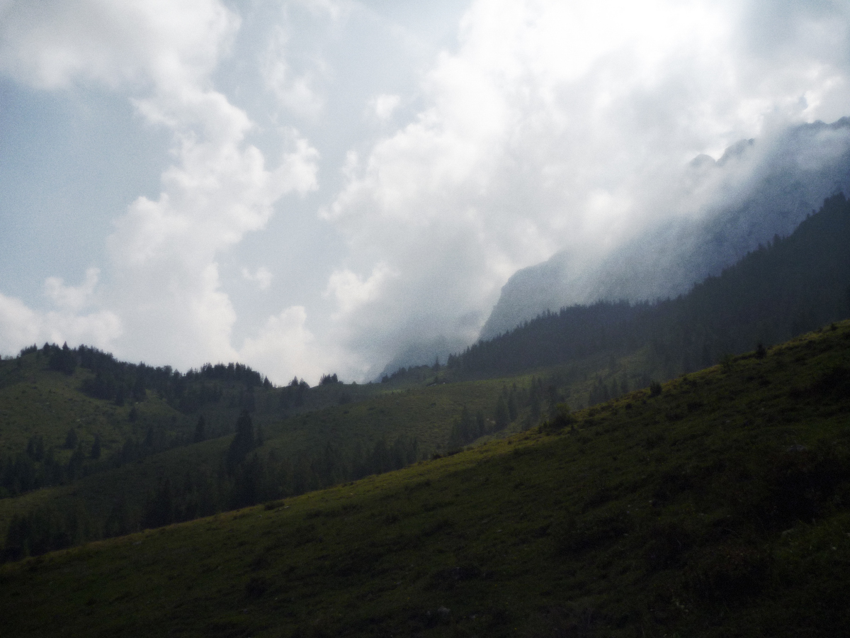 p1410351vzz5a.jpg