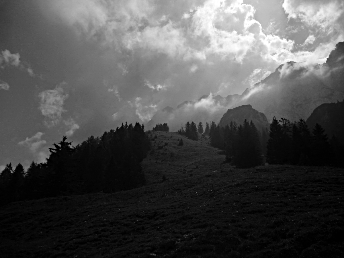 p1410364yvkfh.jpg