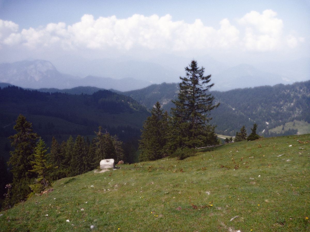 p141037834k3n.jpg