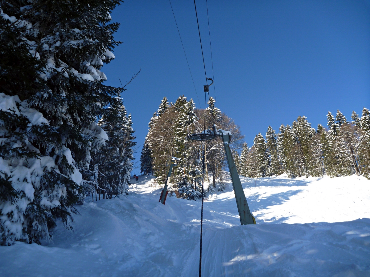 p1420446sxsm6.jpg