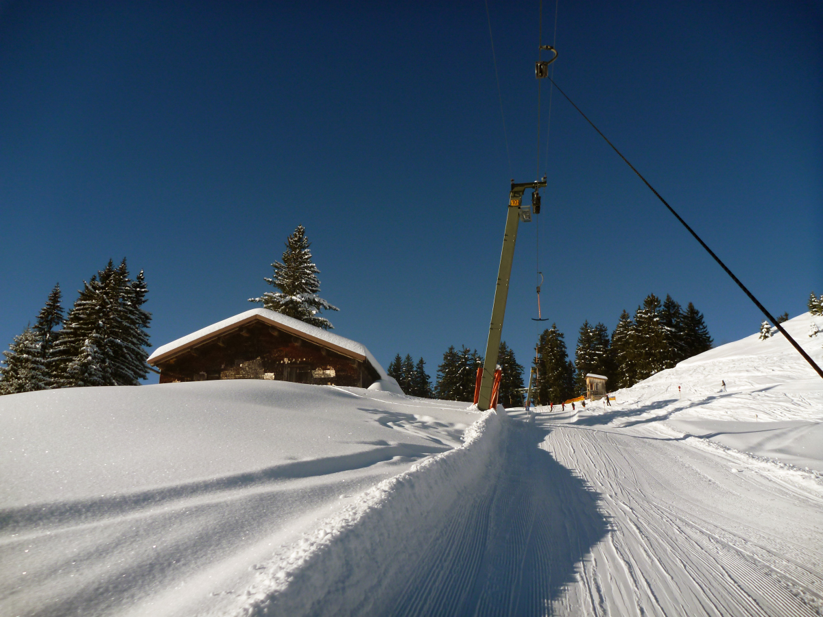 p1420459k7sno.jpg