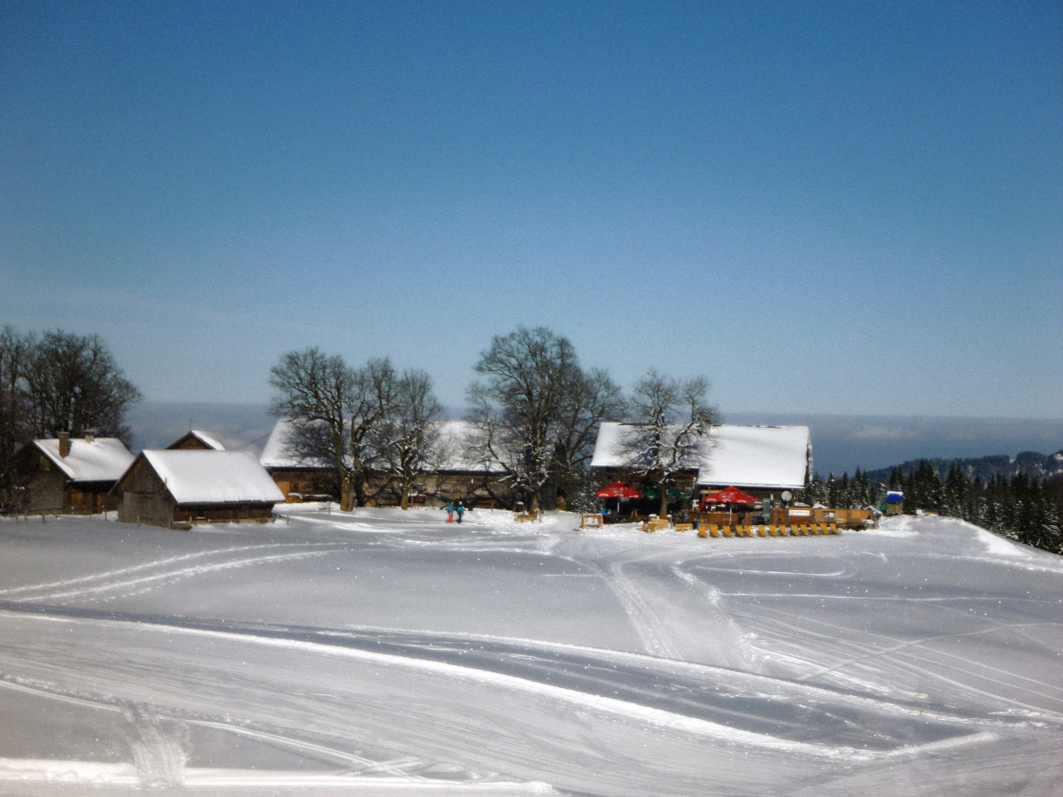 p14204871zzk2.jpg