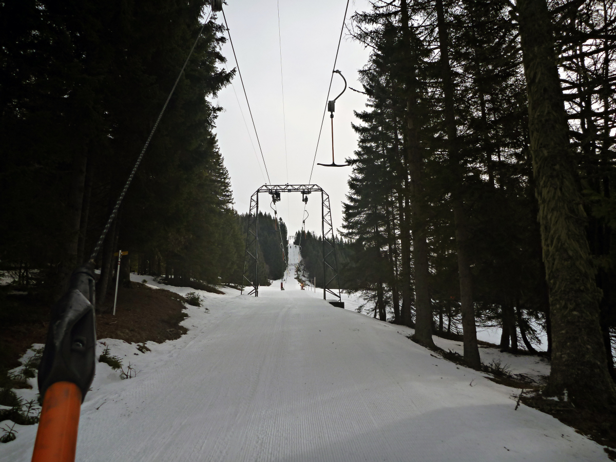 p1430194eksya.jpg