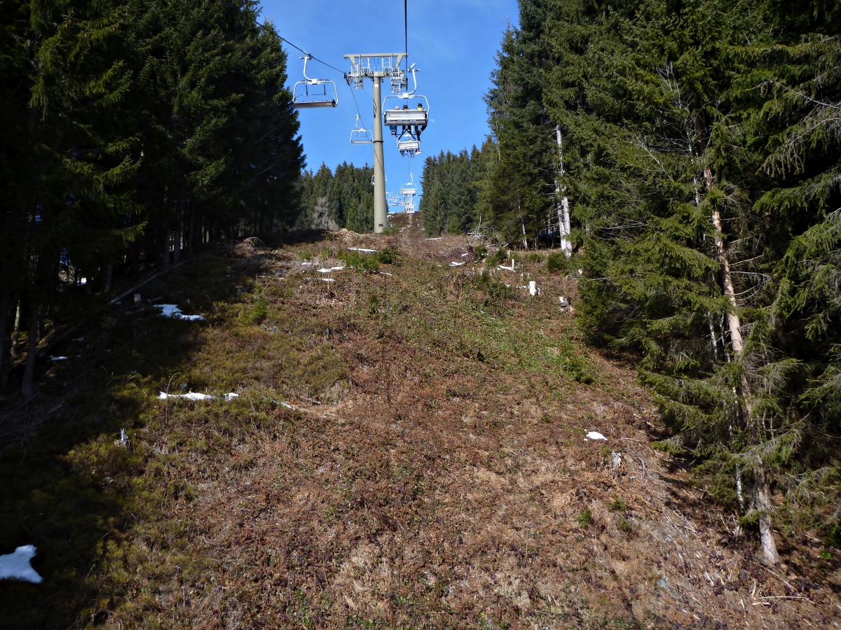 p1430360ltsoj.jpg