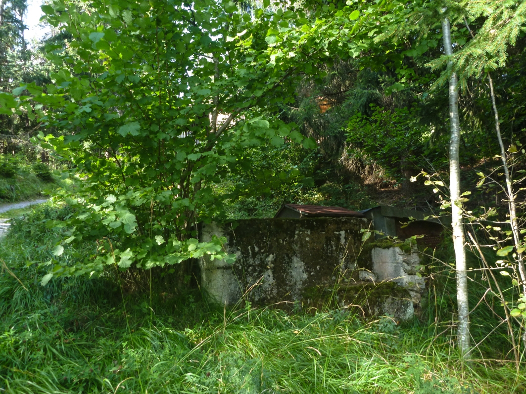 p14406671sjpe.jpg