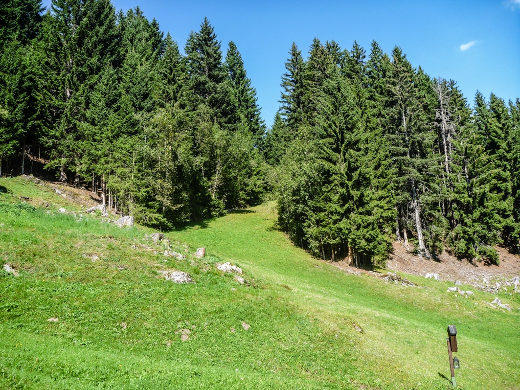 p1440674s5jj3.jpg