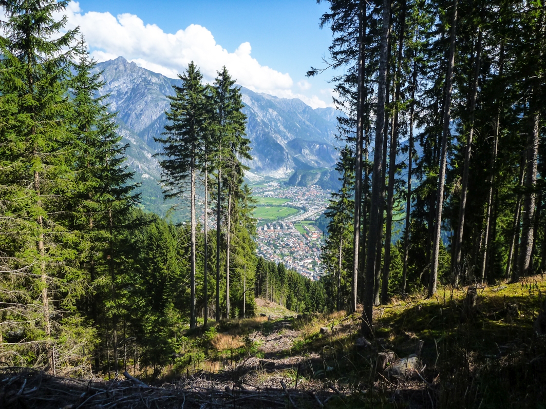 p1440681zvja6.jpg