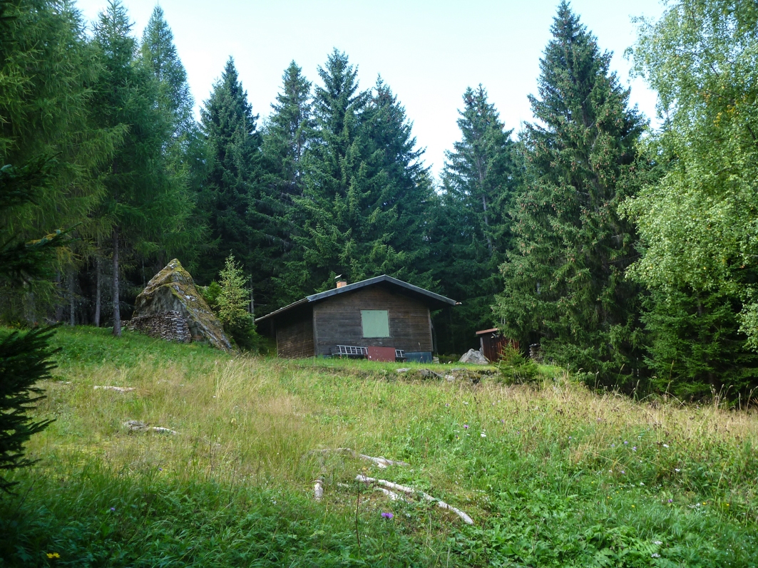 p1440701z4suh.jpg