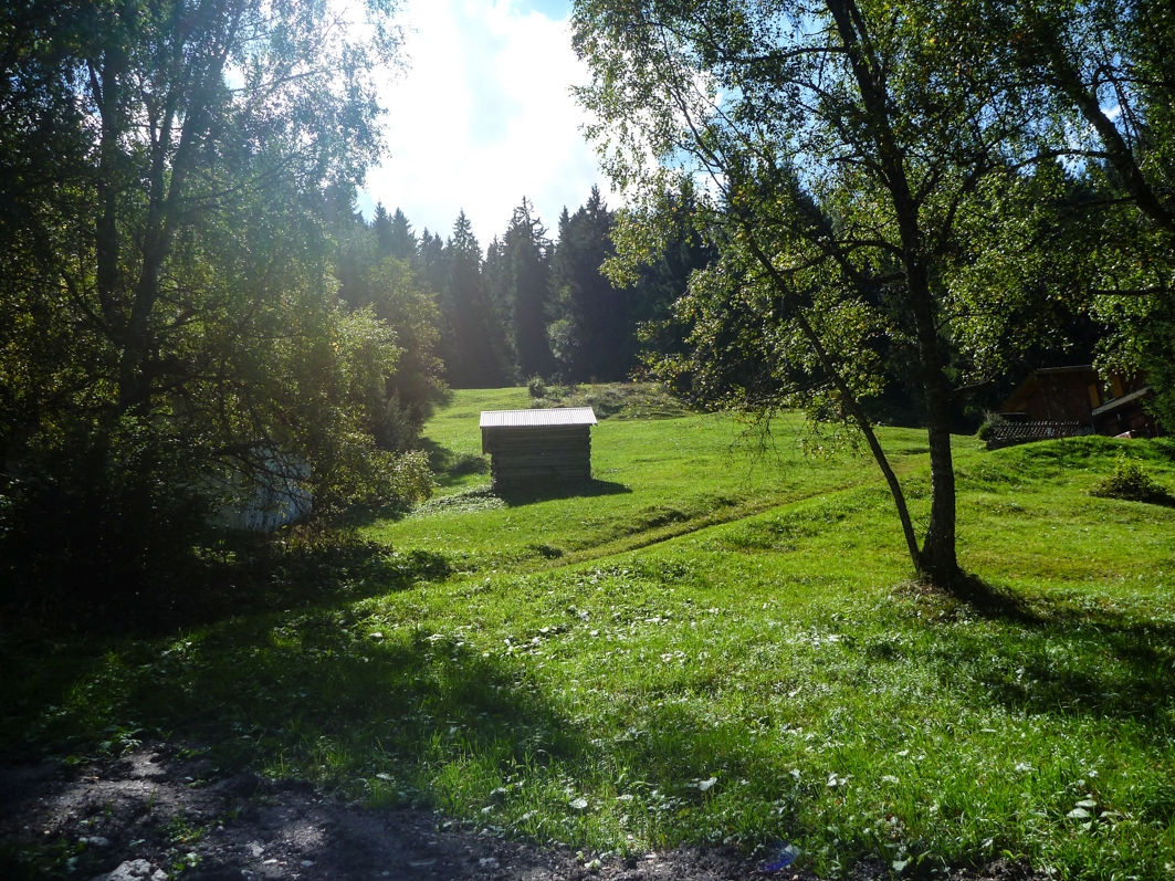 p1440722c7s37.jpg