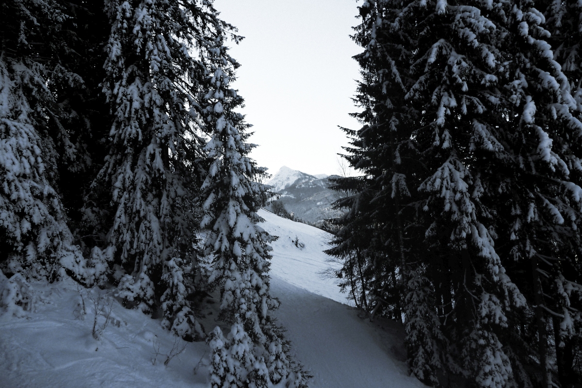 p15607799hjff.jpg
