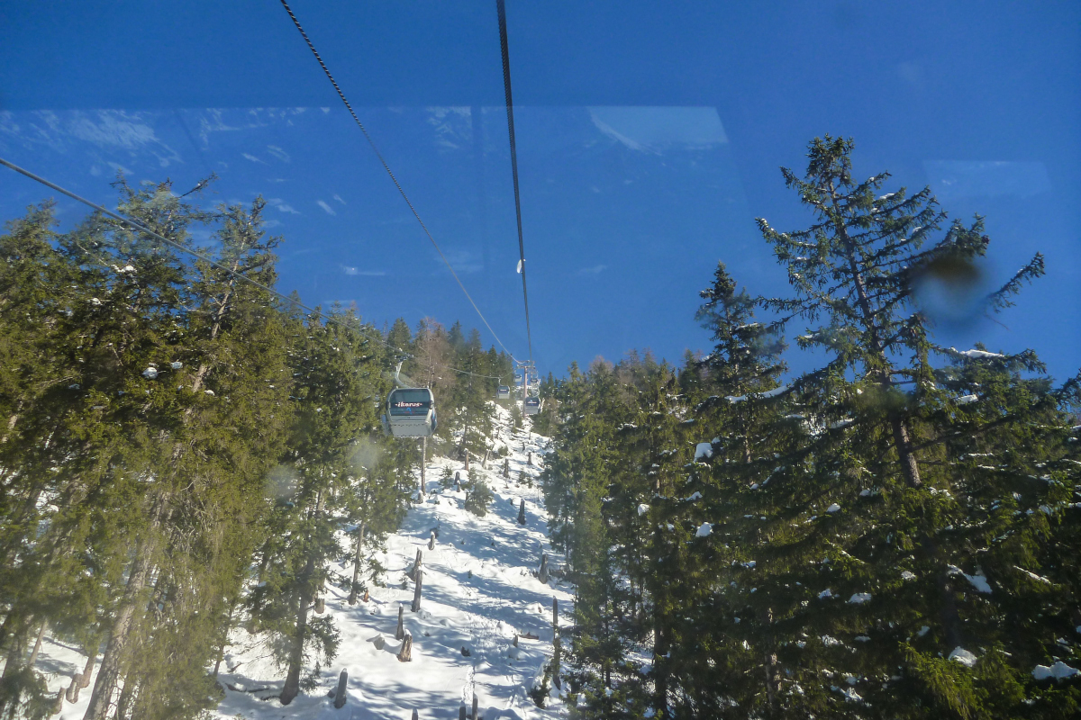 p1560892lgkzr.jpg