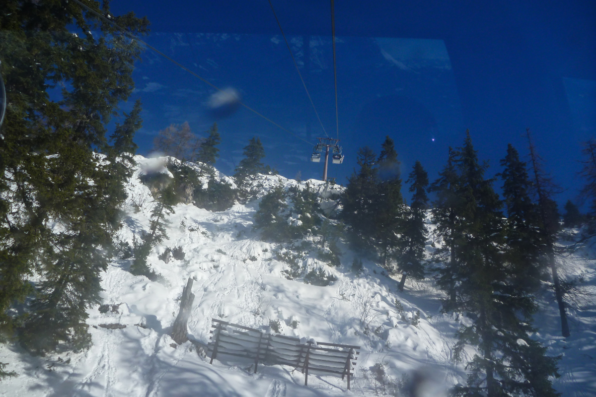 p15608972dklj.jpg