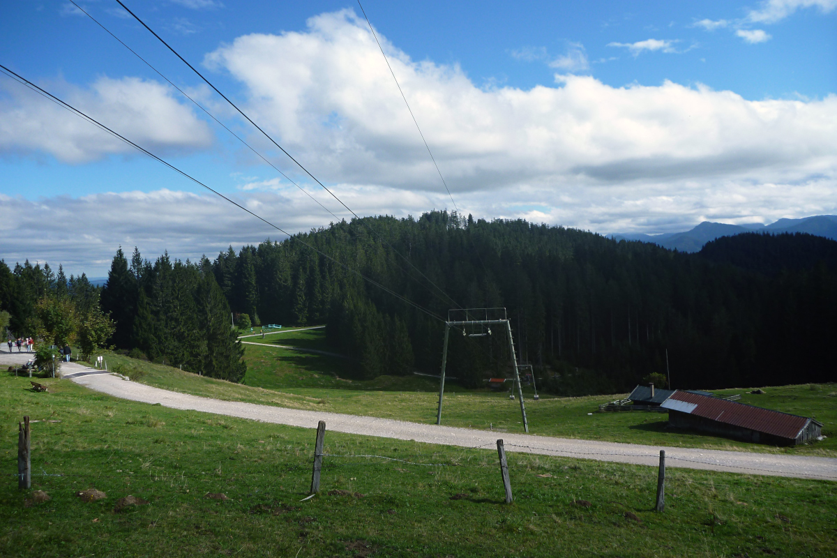 p1580147zyj1o.jpg