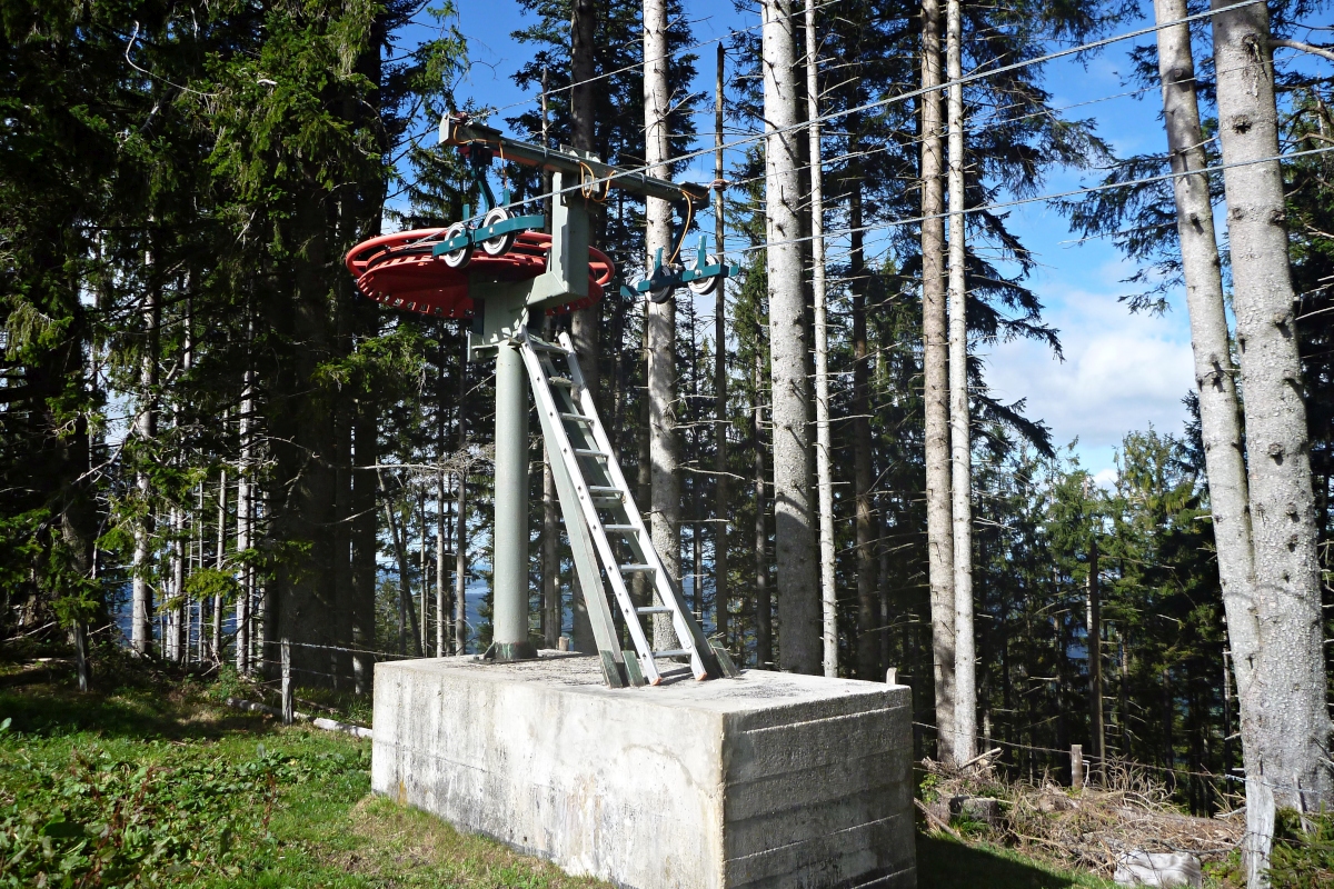 p1580157u9kca.jpg