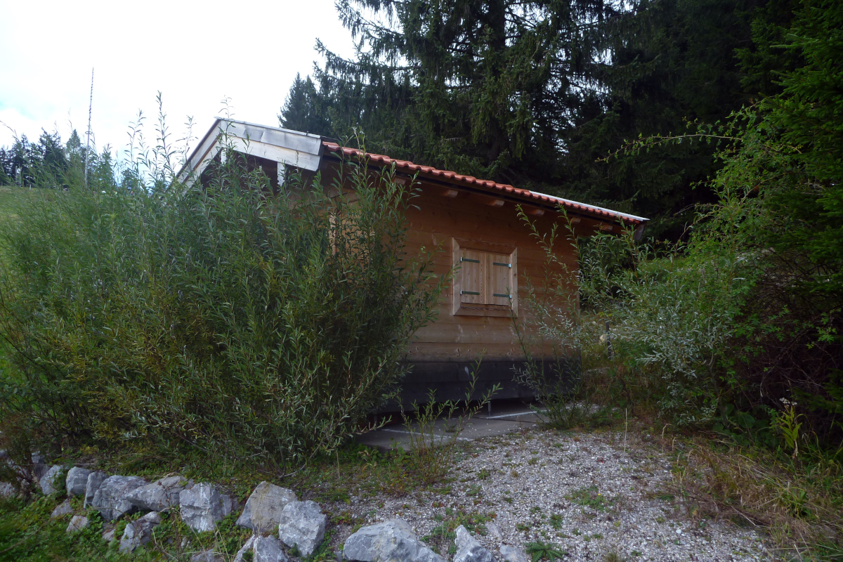 p1580190g7jof.jpg