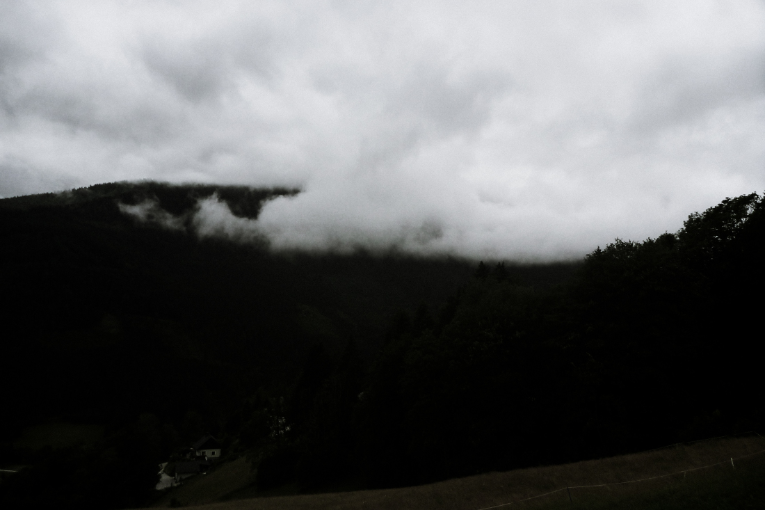 p1620556vei84.jpg
