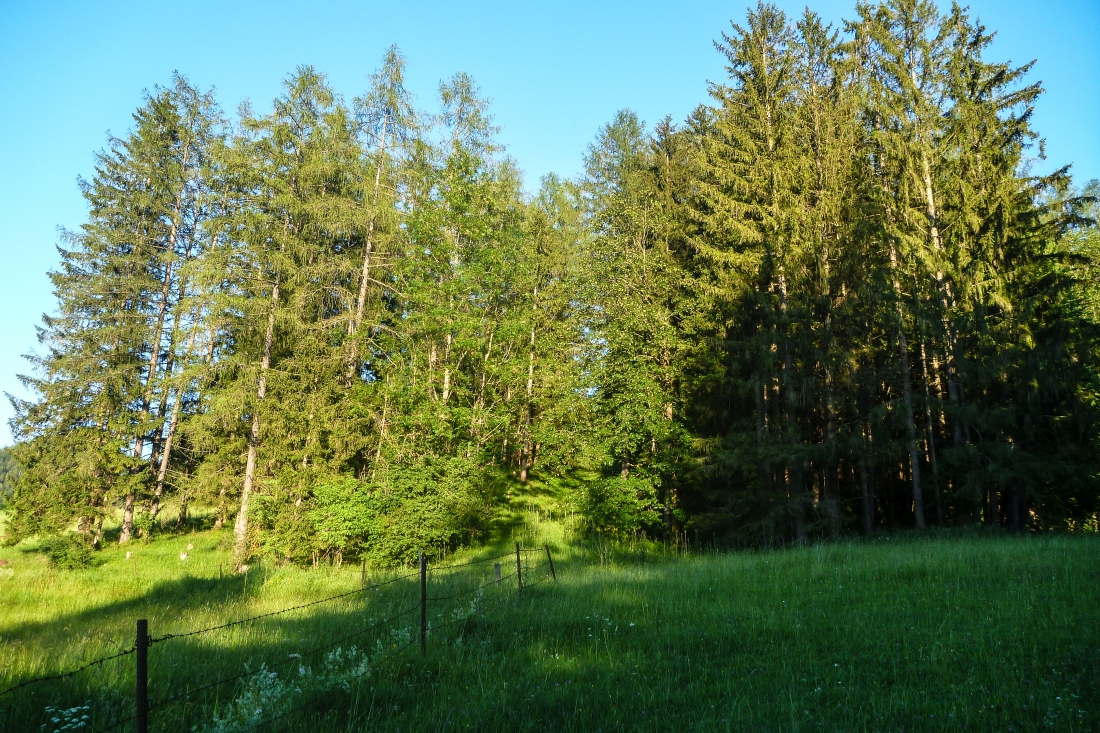 p16205601zf92.jpg