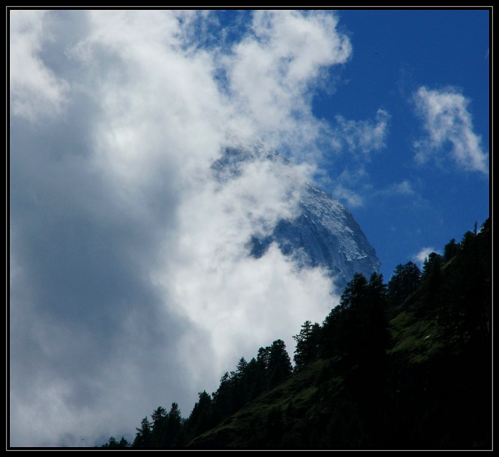 131_1000v7mt.jpg