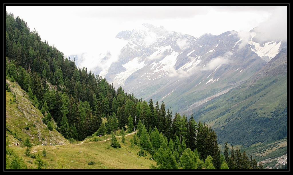 15_10008uzf.jpg