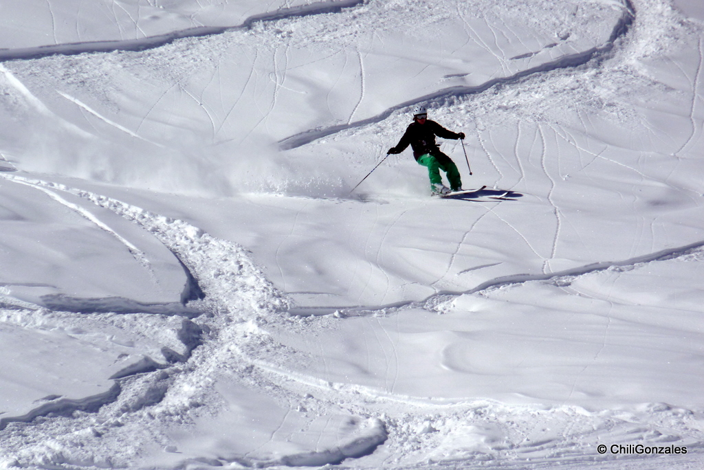 p1040809h824.jpg