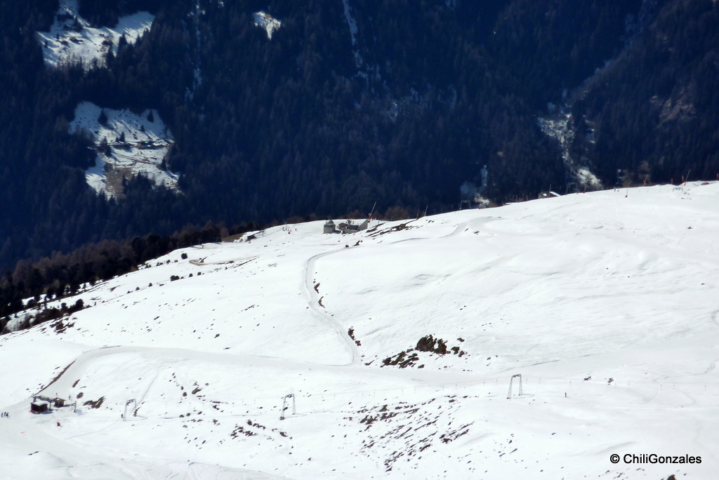 p1040937l897.jpg