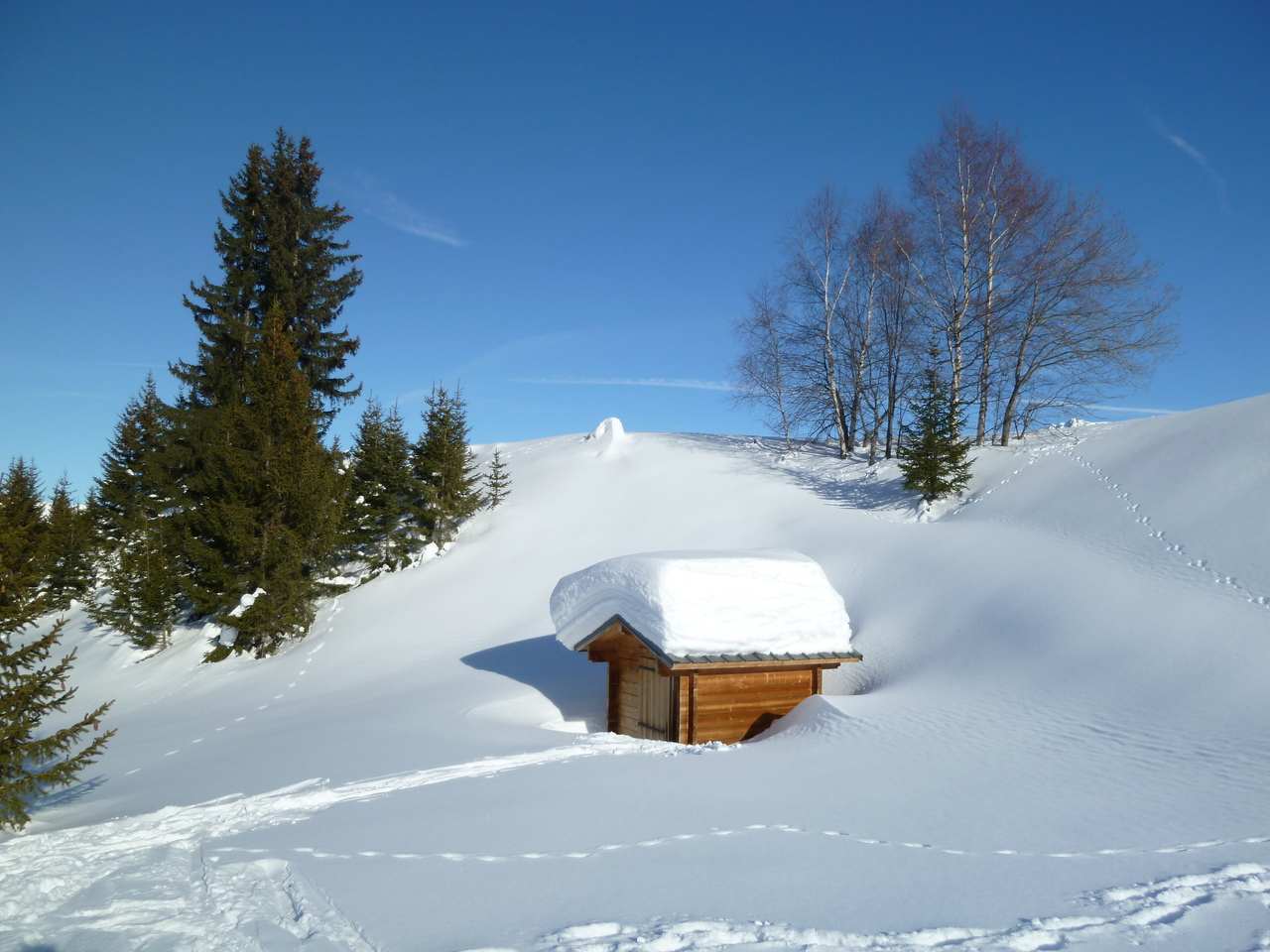 p1040748dszt1.jpg