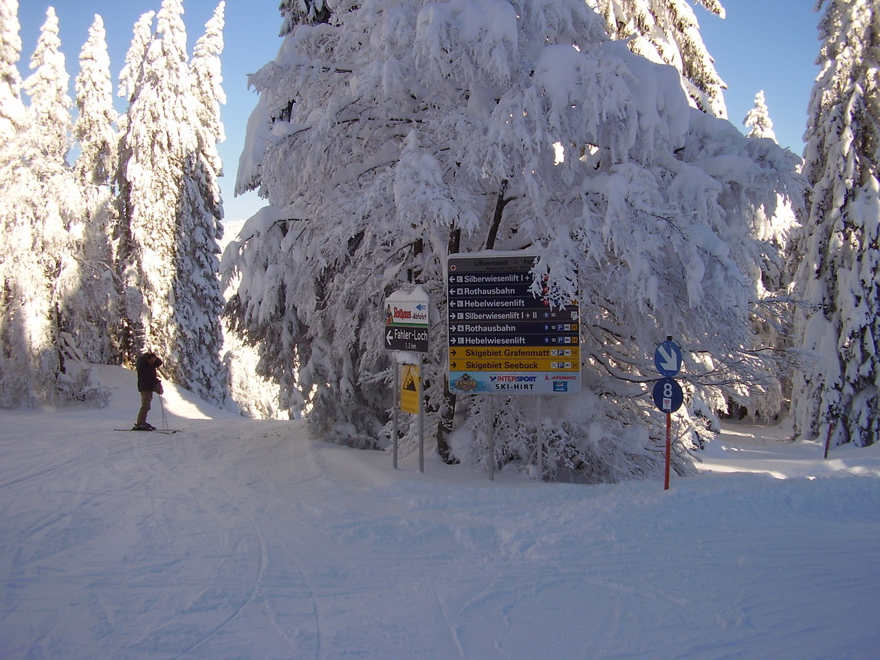 p309017278fm1.jpg