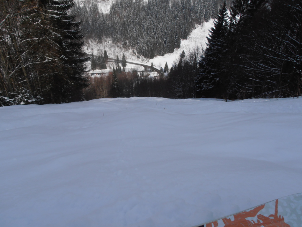 p3150397zcpb5.jpg