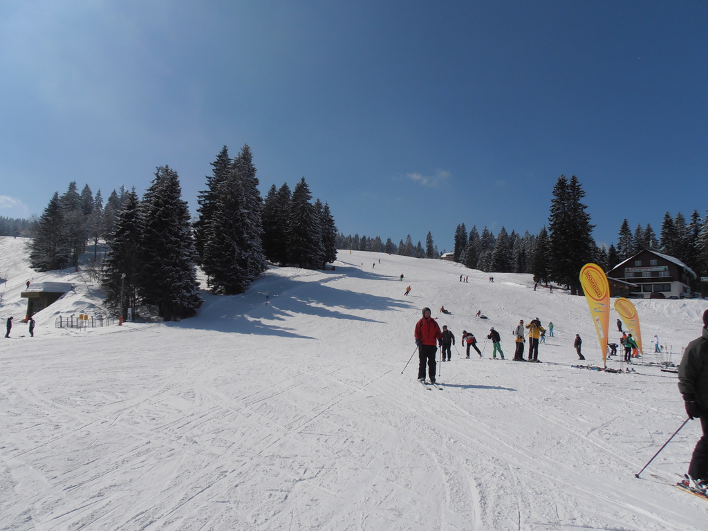 p31504186lr7o.jpg
