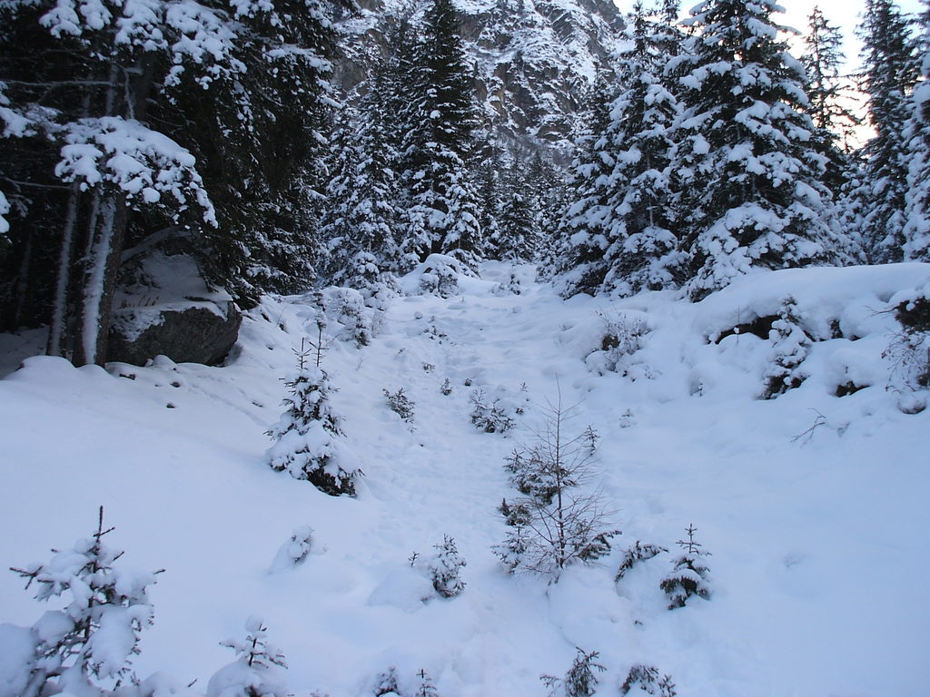 dscf0758ank8r.jpg