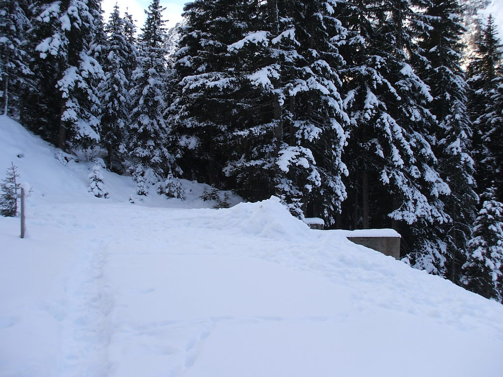 dscf076435kli.jpg