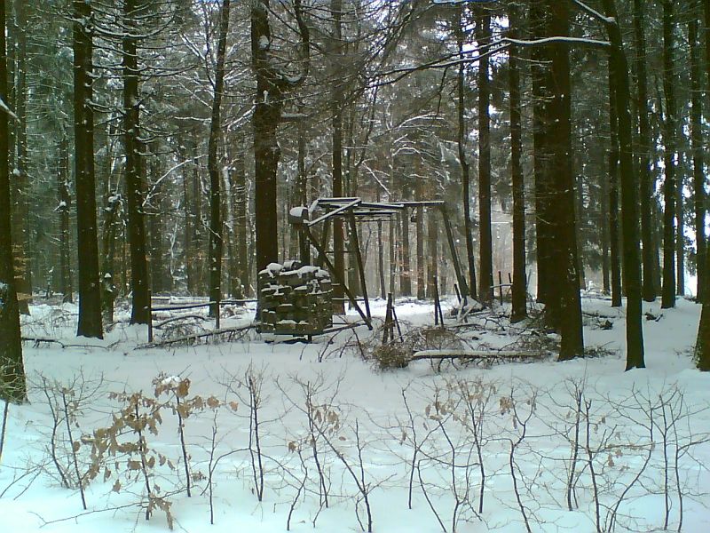 k-bild017pz3r8.jpg