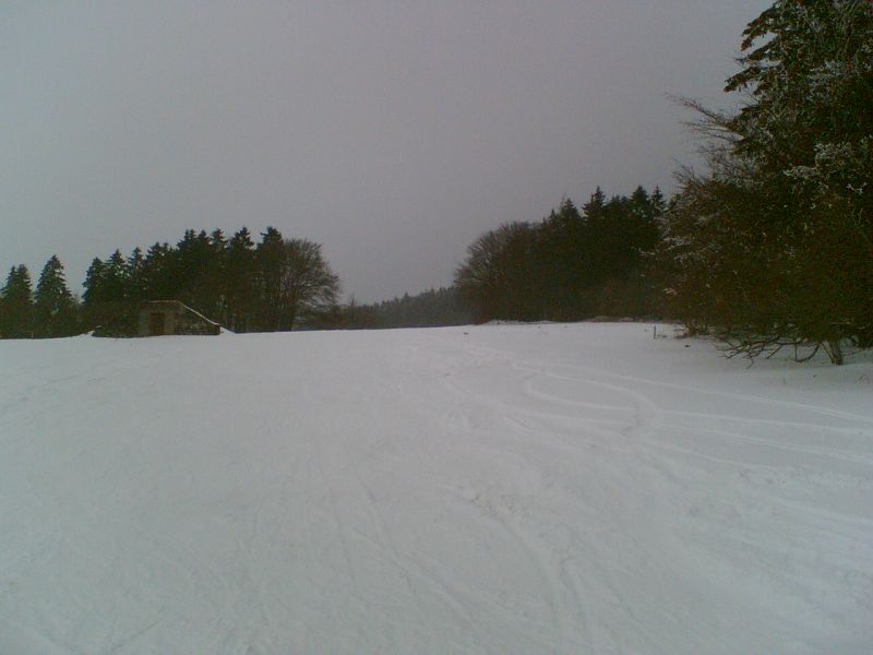 k-bild040n94be.jpg