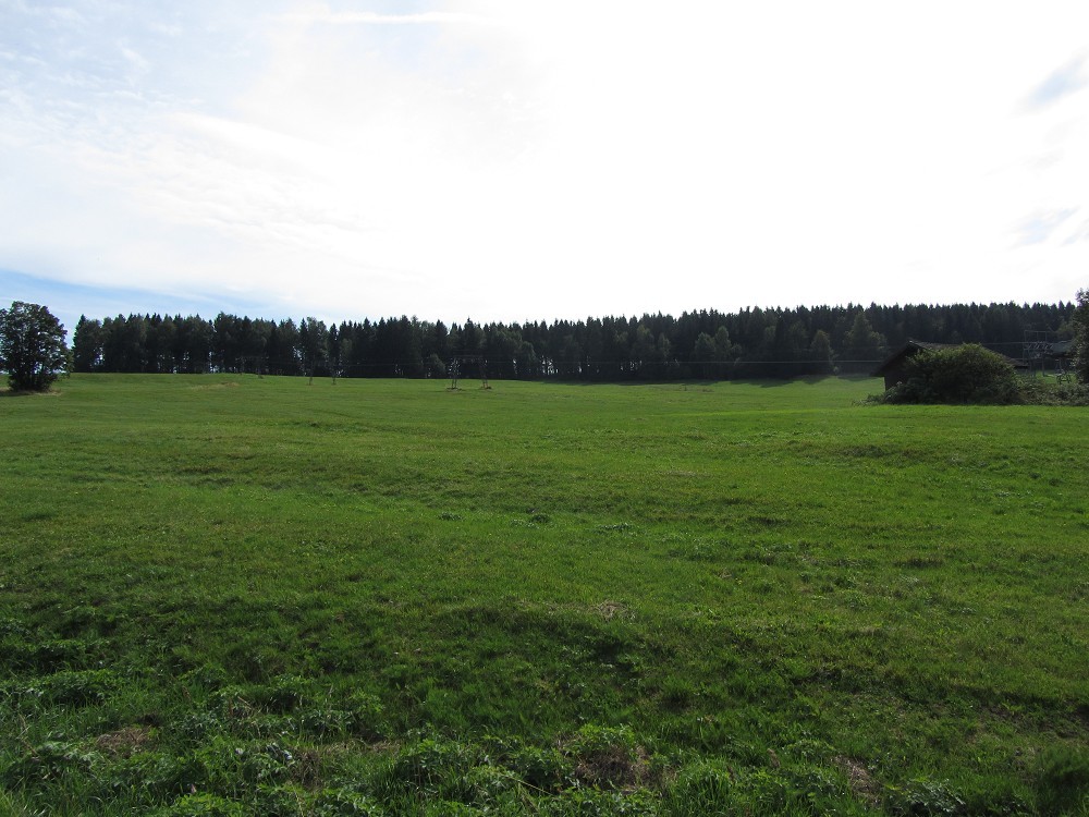 k-img_0480yof88.jpg