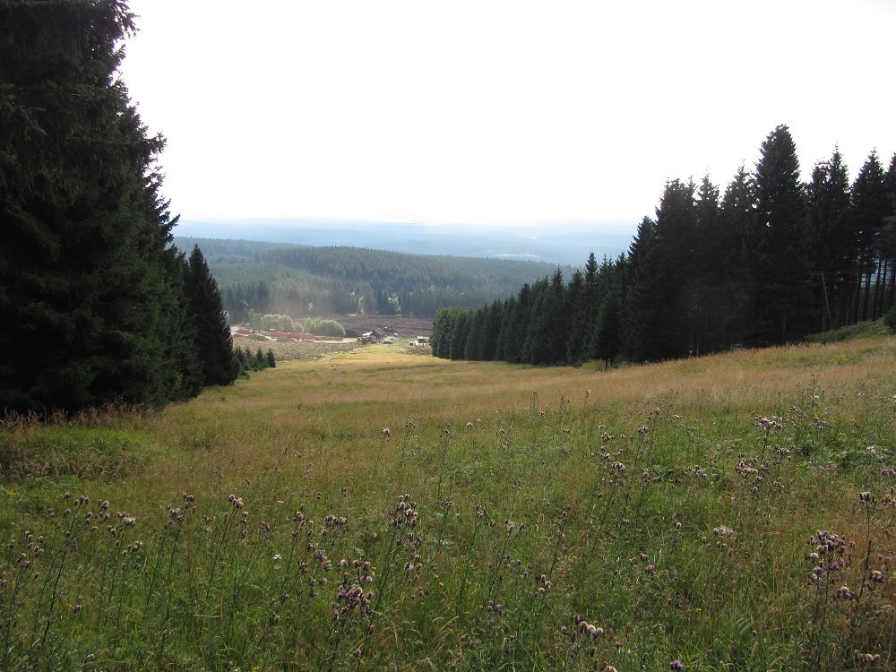 k-img_0705s5r0g.jpg