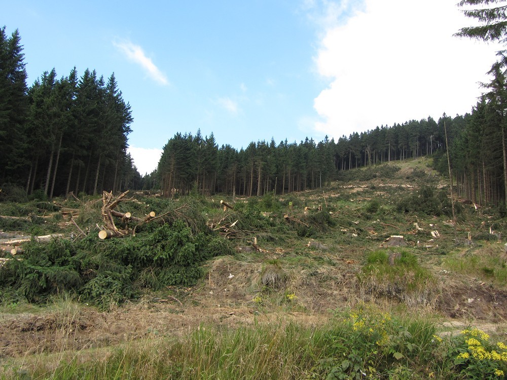 k-img_0731mxrmc.jpg
