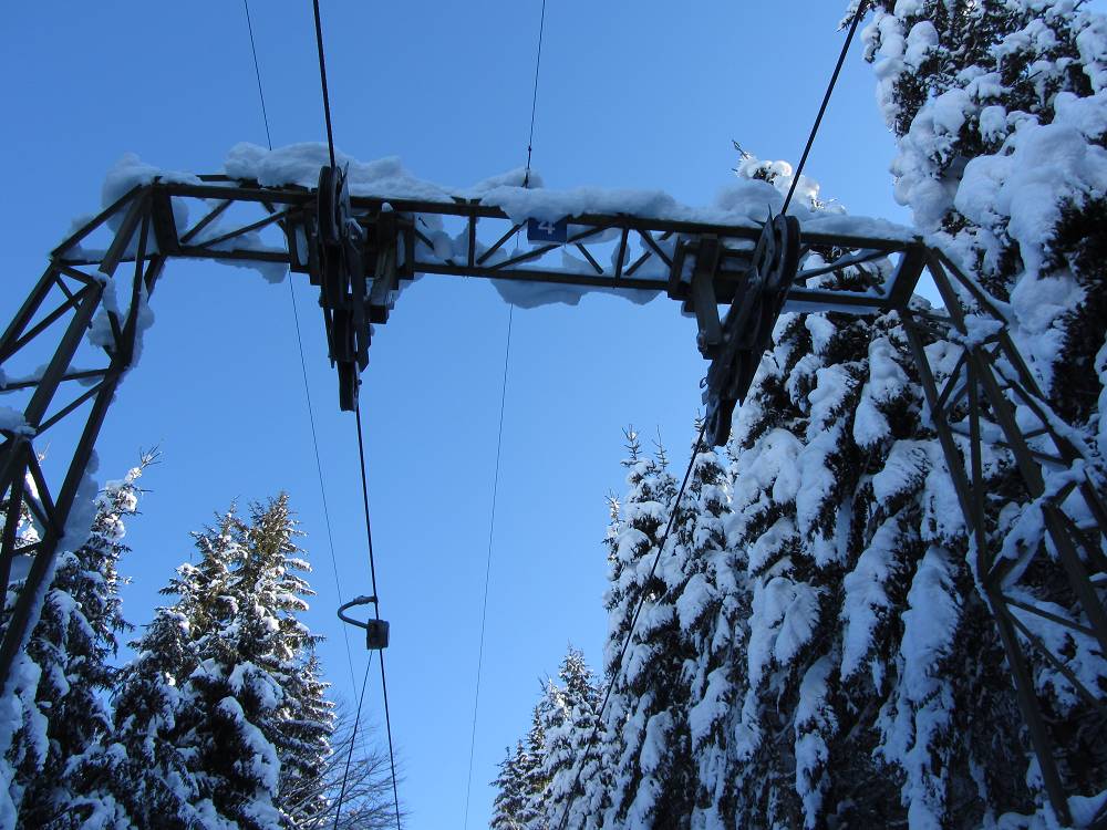 k-img_2769ngkrz.jpg