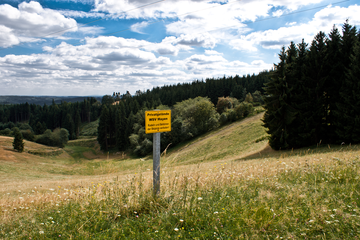 mayenarft10von119pkp8.jpg