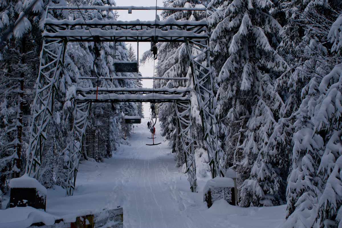 schwarzermann-02126cfsw2.jpg