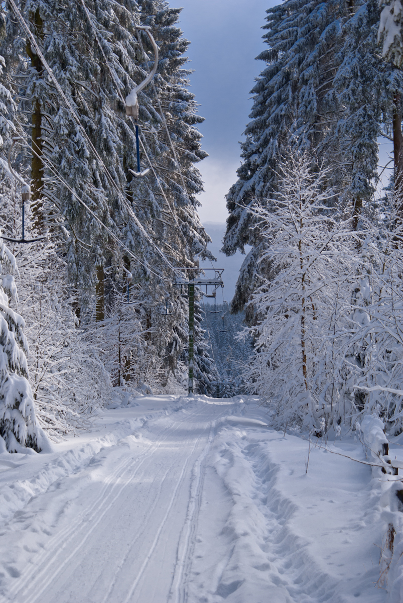 schwarzermann-021580fs8v.jpg