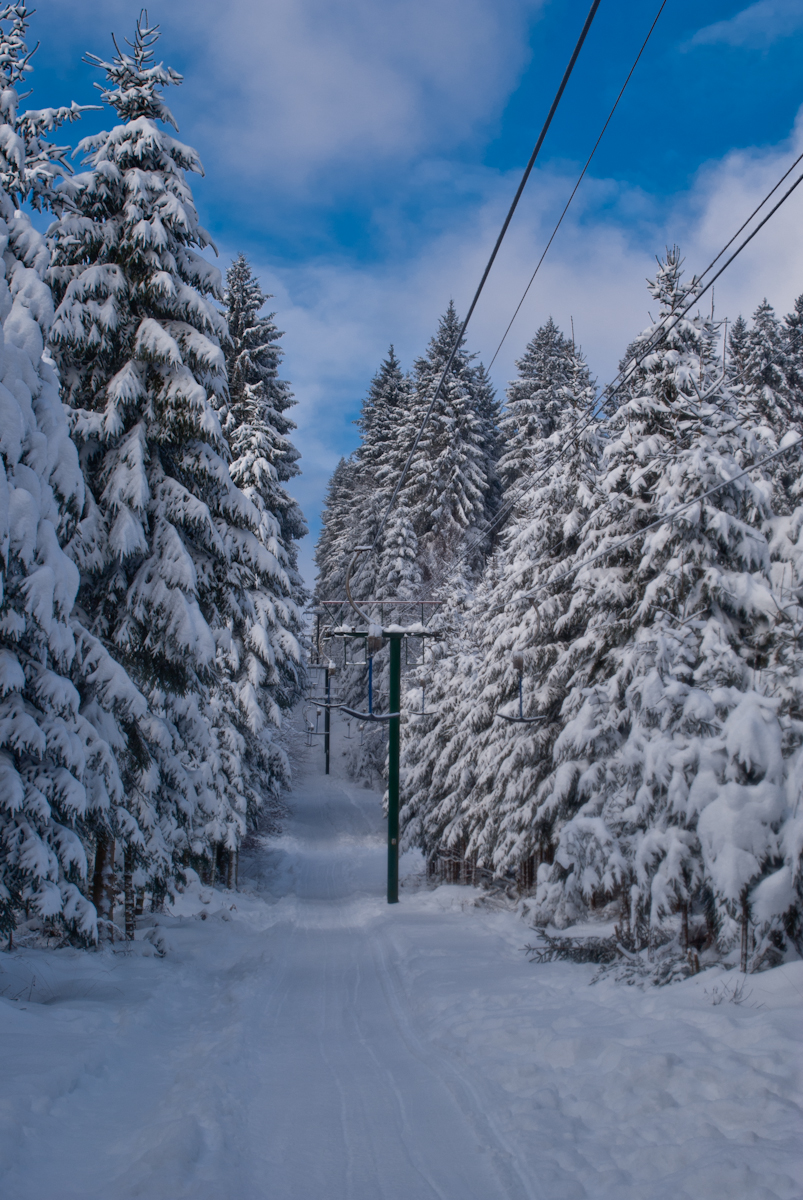 schwarzermann-02170ursgc.jpg