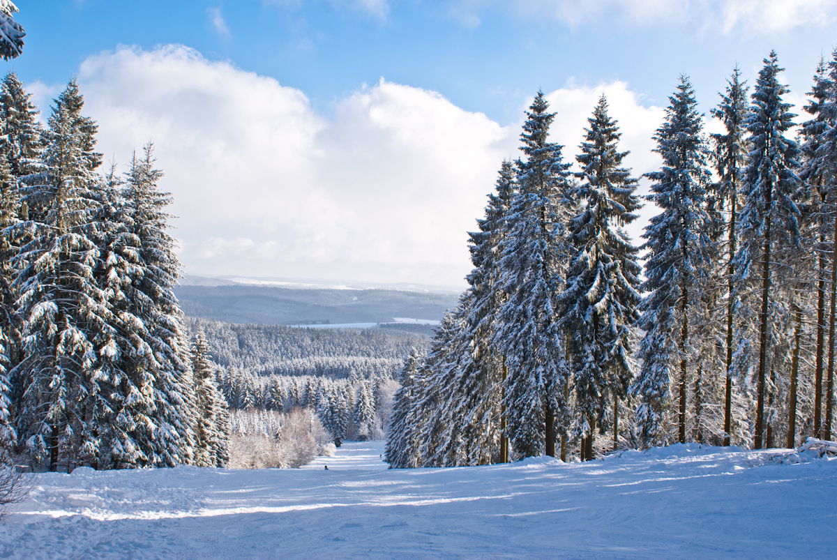 schwarzermann-02208hlskr.jpg