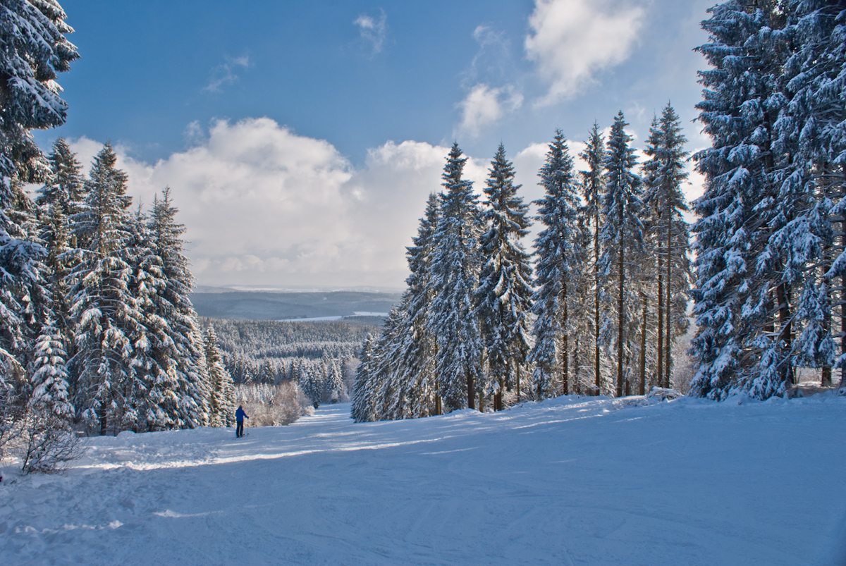 schwarzermann-02211qssrv.jpg