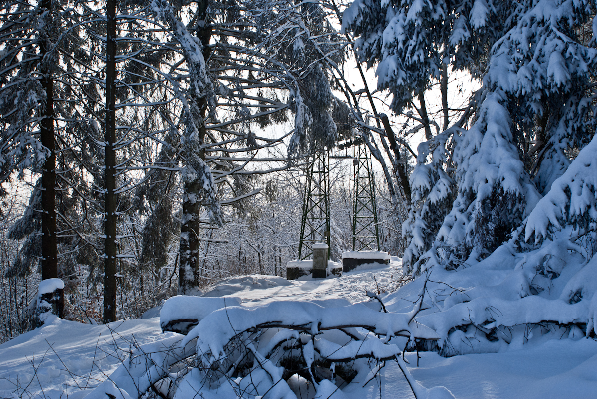 schwarzermann-02214b6s5r.jpg
